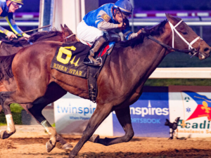 Angel Of Empire irá por la sorpresa en el Belmont