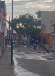 Atienden afectaciones causadas por fuertes vientos en La Guaira