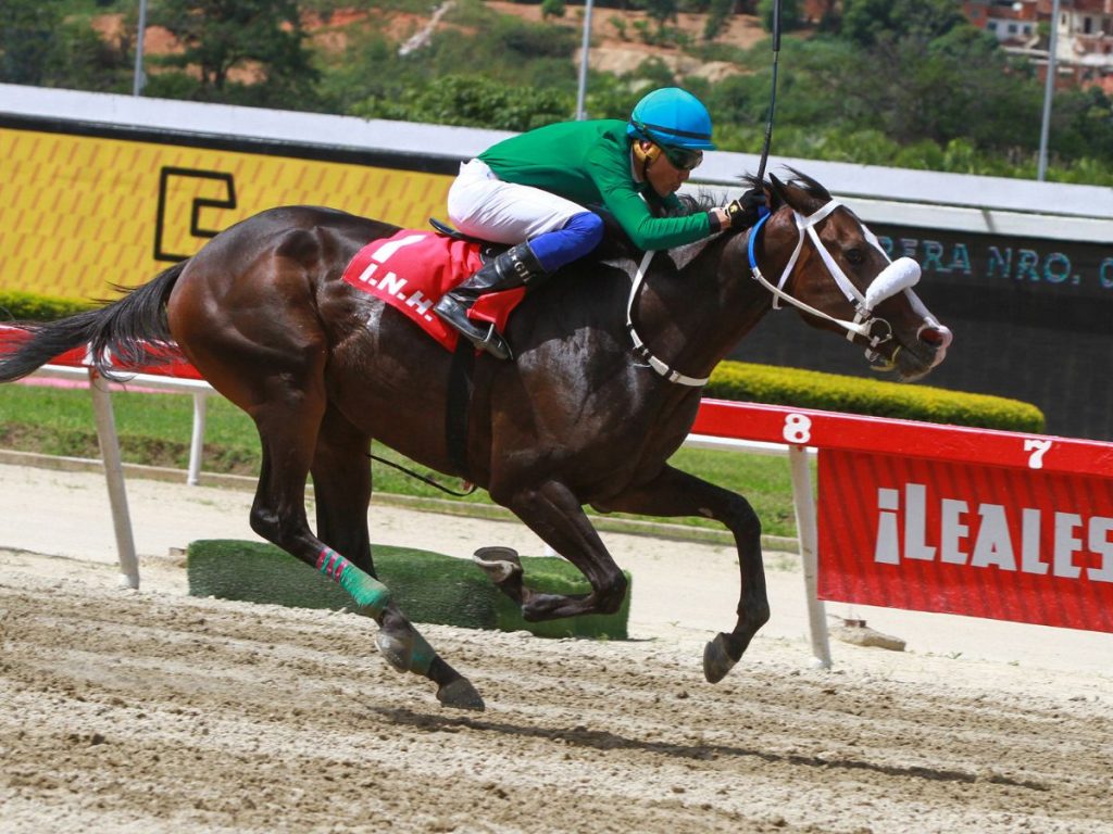 Aventador es el favorito del Batalla de Carabobo