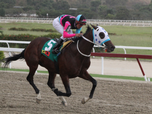 Capriles tiene 23 montas sin ganar en tres semanas