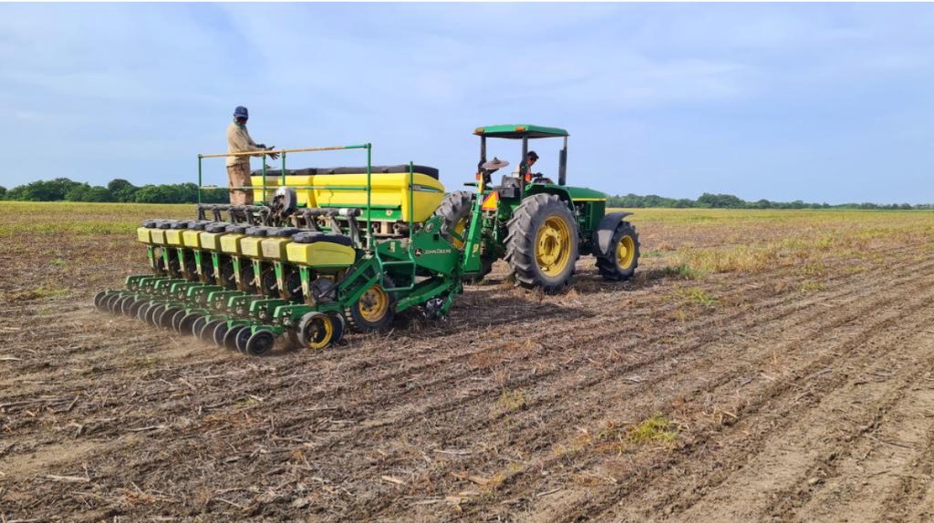 Castro Soteldo: En 40% avanza siembra de cereales en Portuguesa