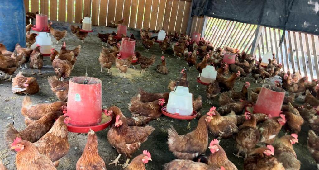 Ceofanb comprometido con resguardo de parques nacionales