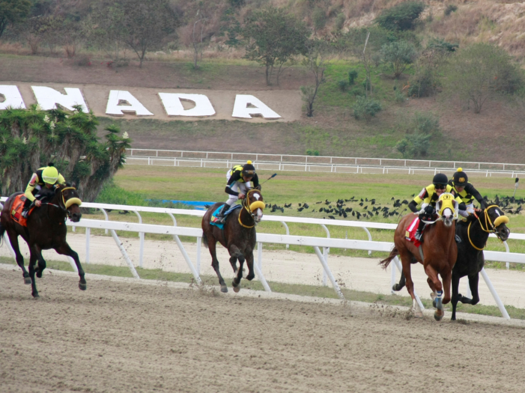 Clásico José Antonio Páez con 10 potros anotados