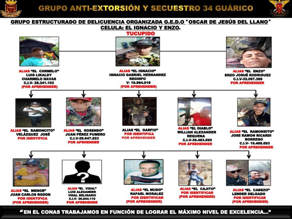 El Conas identificó en Guárico a cinco células del Tren del Llano