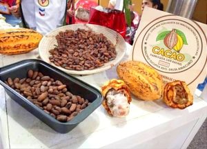 En el Delta siguen sumando a la producción de chocolate