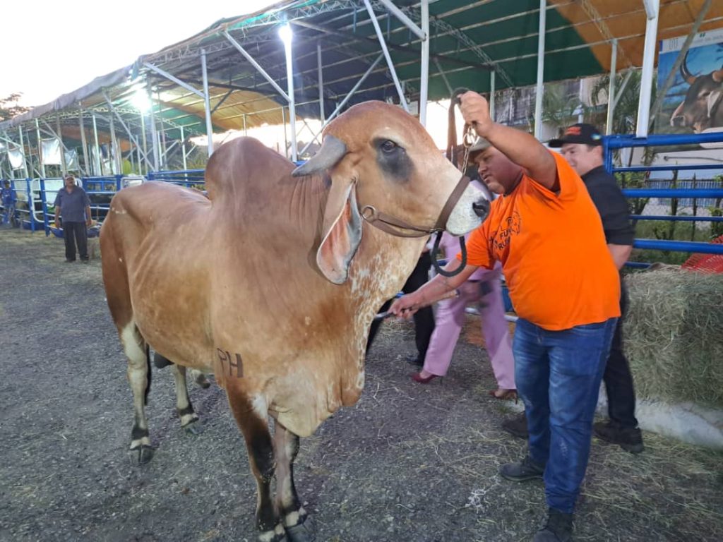 En senda feria presentan producción del Sur del Lago