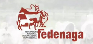 "Son medidas desesperadas por la escasez de combustible"