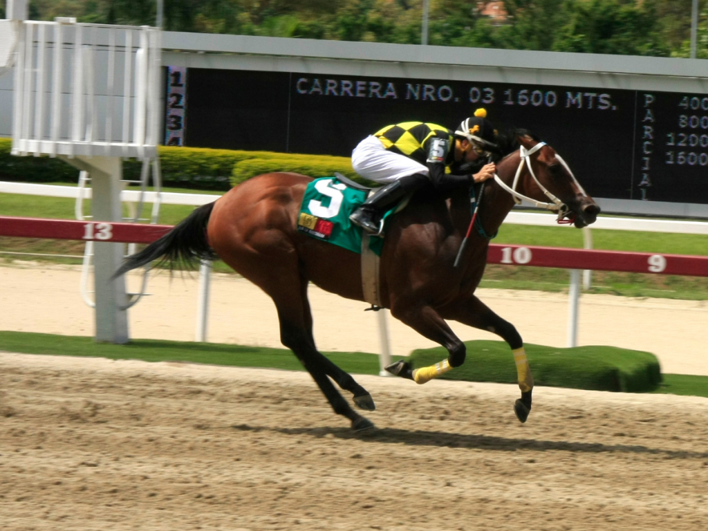 Mi Querida Emma buscará la primera joya en Coche