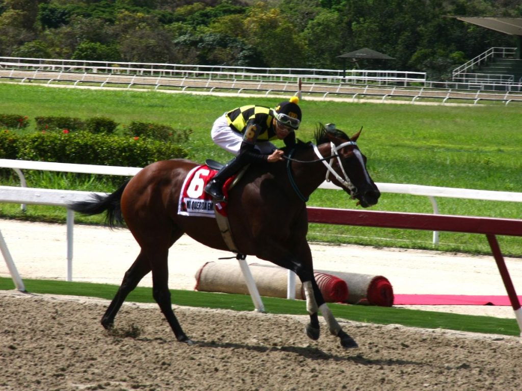 Mi Querida Emma va por la segunda joya