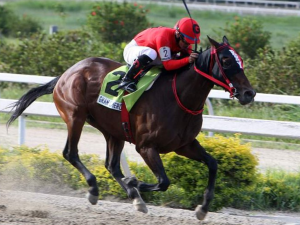 Misael Rodríguez Ventura debutará en USA