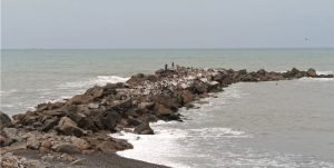Encuentran cadáver de un niño venezolano en playa de Perú