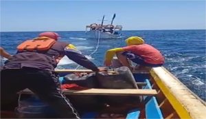 Pescadores de Nueva Esparta regresaron sanos y salvos a sus casas