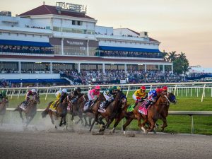 Siete venezolanos van por el Carry Back Stakes