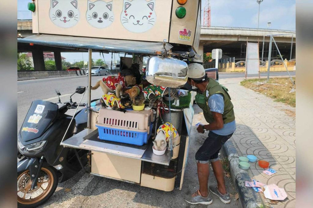 Viaja en moto con sus 11 gatos: la increíble historia del tío Samsen