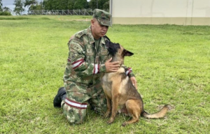 No aparece Wilson, perro cuyas huellas permitieron hallar a niños en selva del Guaviare