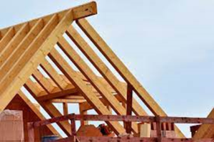 Camilo Ibrahim Issa - 5 grandes mitos sobre la construcci&oacute;n con madera