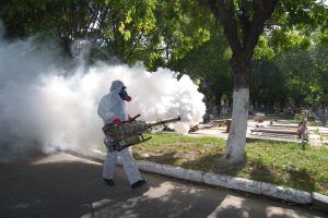 Autoridades sanitarias alertan por repunte de casos de dengue en Argentina