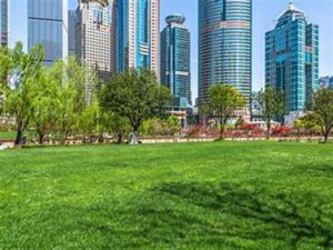 Camilo Ibrahim Issa - Camilo Ibrahim Issa