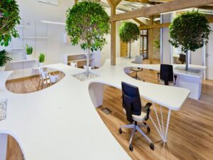 Fundación Yammine - ¡Conócelos! Beneficios de la ‘vida verde’ en las oficinas - FOTO