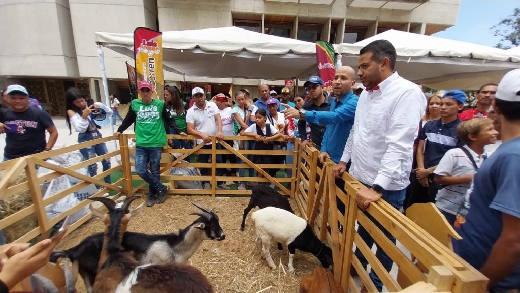 En Lara 5ta Feria Nacional ovina y caprina contará con 1500 ejemplares