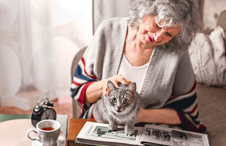 Gatoterapia para tu bienestar - Últimas Noticias