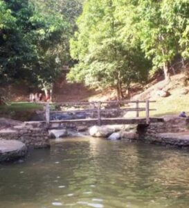 Guatopo ofrece aguas cristalinas y un paisaje exótico 