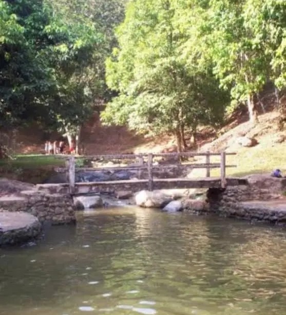 Guatopo ofrece aguas cristalinas y un paisaje exótico 