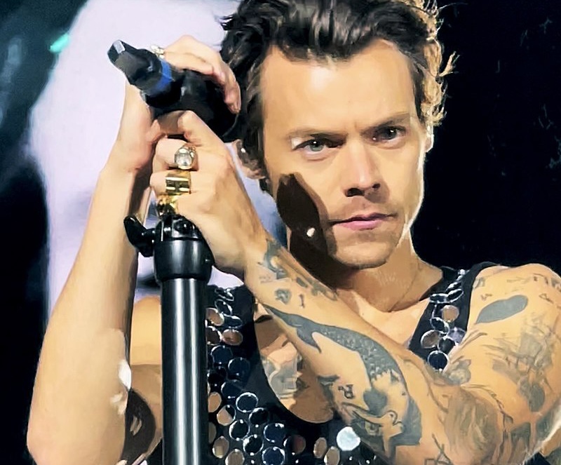 Golpearon a Harry Styles en el ojo en pleno concierto ????️????