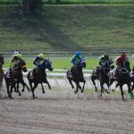 Ataques informáticos masivos obligan a la cancelación de la jornada hípica en La Rinconada