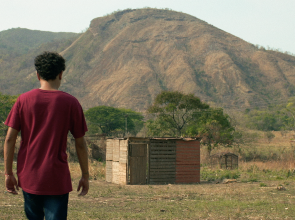 "La sombra del sol" salió de Acarigua para el mundo