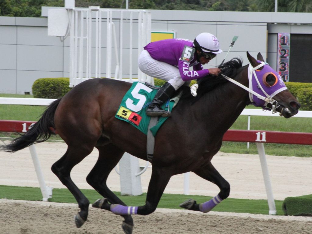 Li Tre Fratelli reanudó los entrenamientos