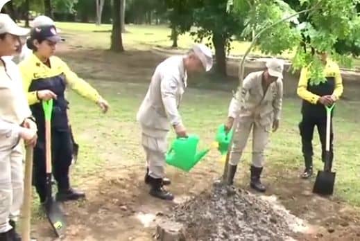 Parque Francisco de Miranda tiene 100 árboles nuevos