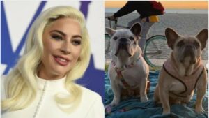 Lady Gaga gana demanda contra cómplice del secuestro de sus perros