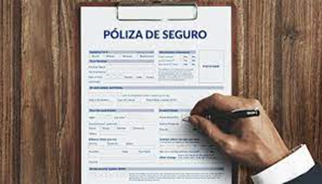 image - ¿Qué diferencia hay entre un seguro y una póliza?