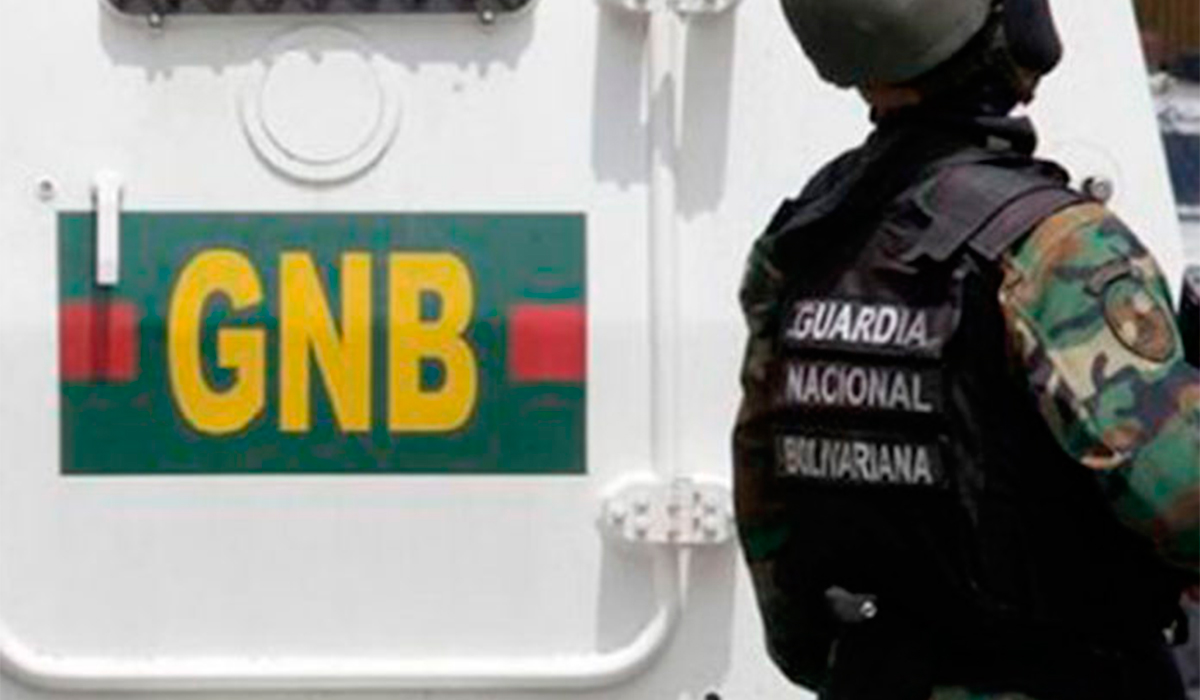 Desentierran 13 matas de marihuana en el estado Sucre