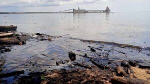 Primer Encuentro Técnico Científico Popular para el Rescate del Lago de Maracaibo será los días 2 y 3 de agosto