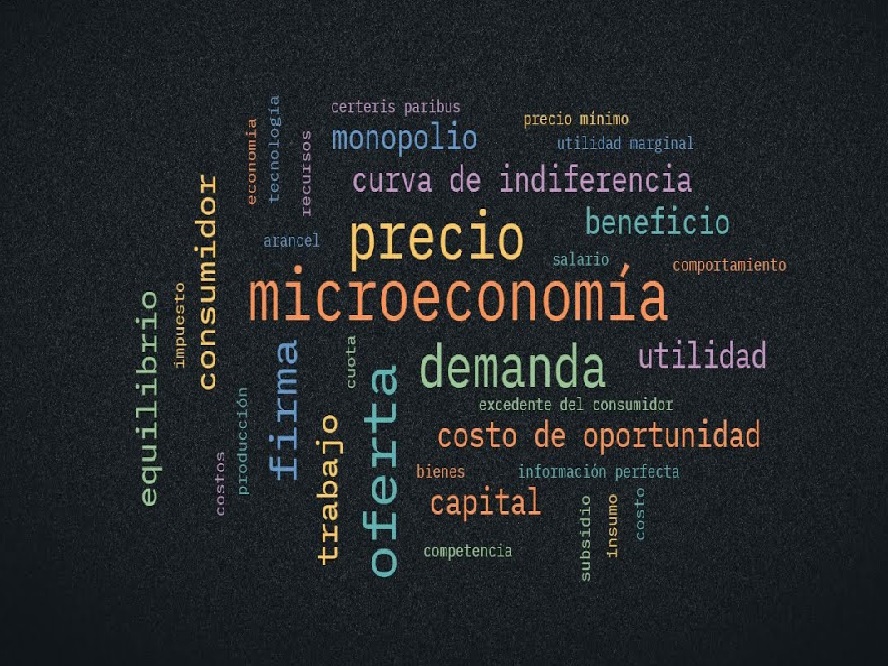 Luis Alberto Pérez González - ¡Entérate! Microeconomía; Qué es y cómo afecta nuestras vidas - FOTO