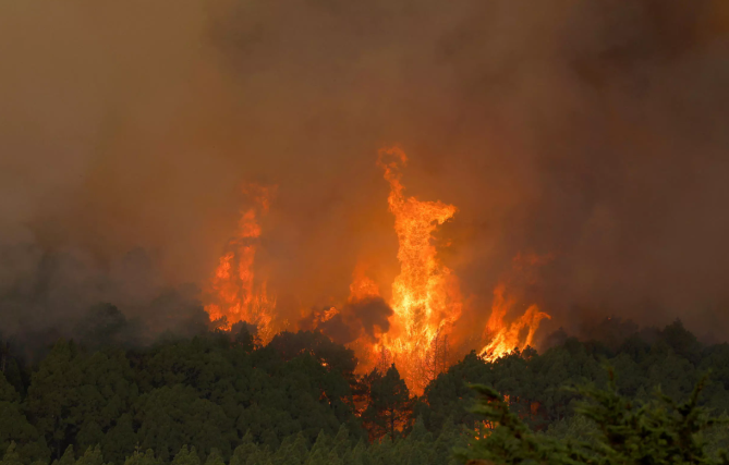La evolución del fuego en Tenerife es "favorable" tras quemar más de 13.000 hectáreas pero preocupa la zona de Izaña