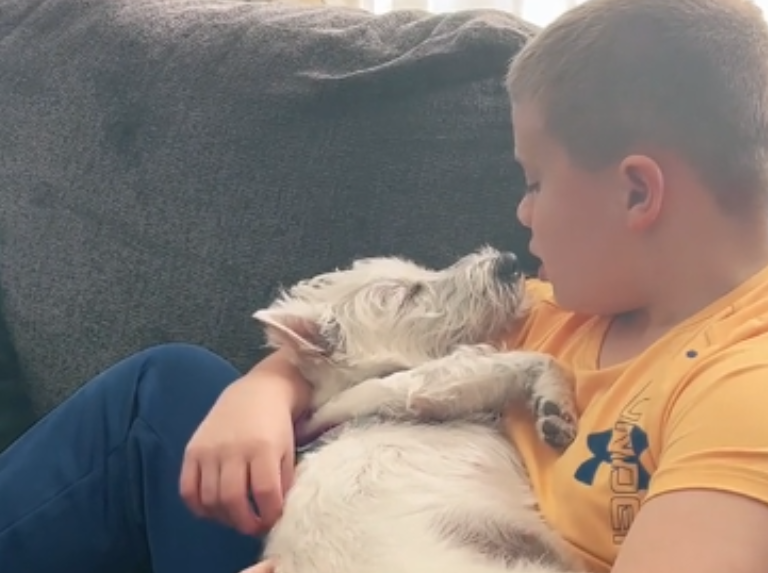 Viral: Un niño acuna y le canta a su perra para dormirla