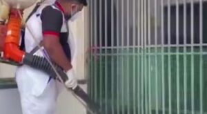 Lo que se sabe de los síntomas, tratamiento, propagación y cura del virus que apareció en la India