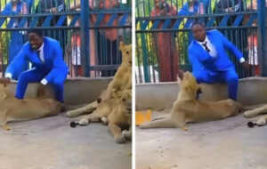 Pastor se encerró en jaula llena de leones para recrear pasaje de la Biblia