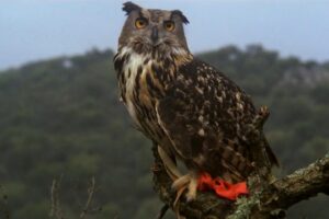 Es una de las mejores películas españolas de todos los tiempos y está en Netflix. Una obra maestra que hizo un retrato imperecedero de la desigualdad y la dignidad humana