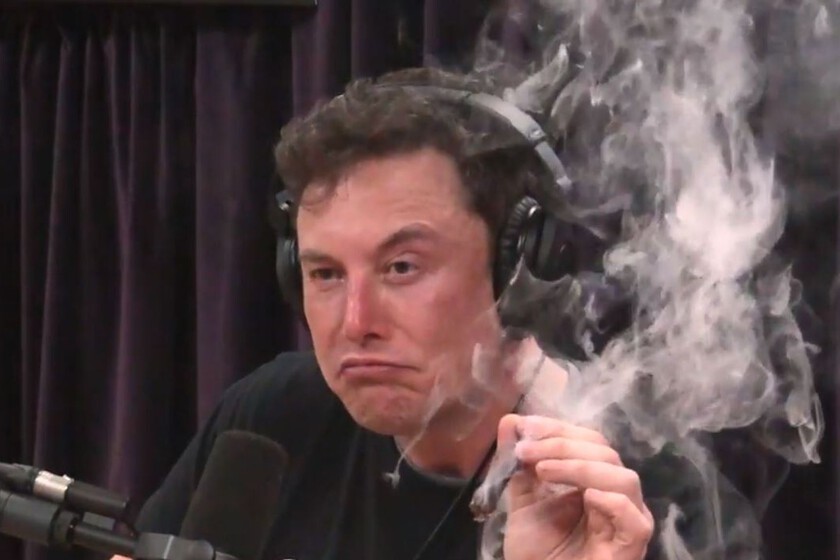 A24 ya trabaja en el biopic de Elon Musk, y el magnate celebra que Darren Aronofsky vaya a dirigirlo: "Es uno de los mejores"