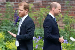 No hay vuelta atrás, la relación del príncipe Harry y William es irreparable ❌🤝🏻