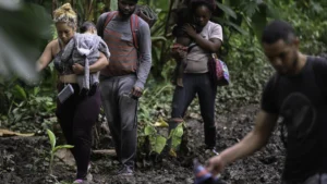 Al menos 1.078 personas han muerto o desaparecido en las rutas migratorias de América este año