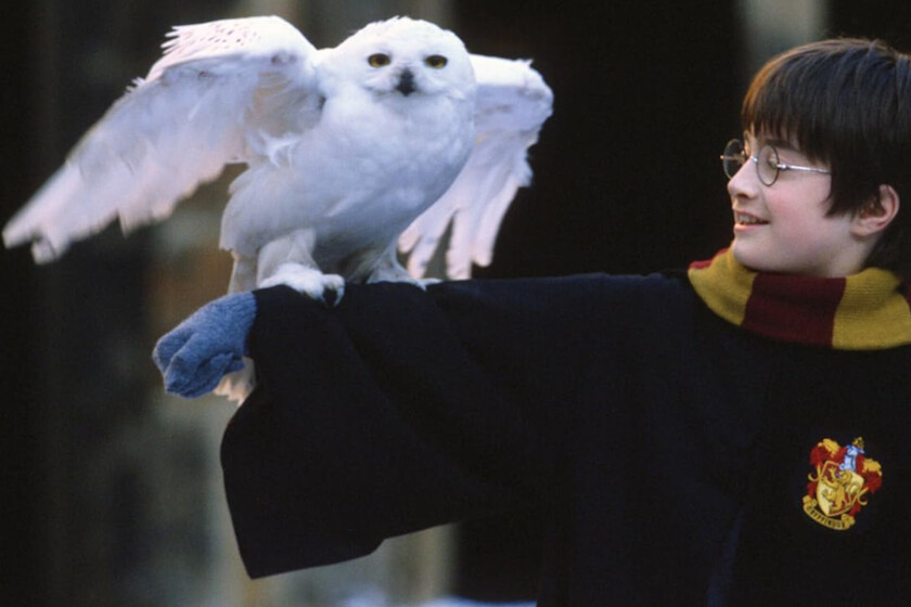 LEGO de Harry Potter, juegos de mesa y mucho más