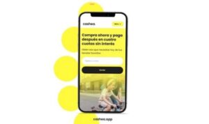 modelo de ventas a plazo sube en 20% ventas de los comercios