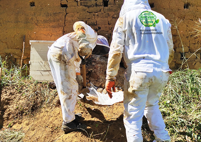 Natulac desarrolla tres proyectos con su Programa de Responsabilidad Social