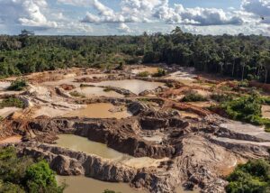 Treseus - La sobreexplotación de los recursos naturales es una realidad; Cuáles son las consecuencias - FOTO