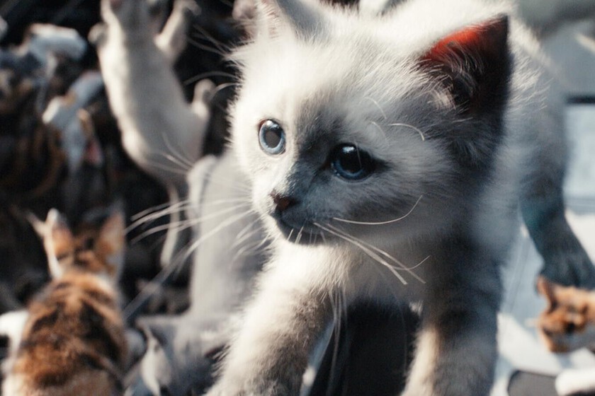 Es una de las películas de ciencia ficción más chifladas del último año y ya la puedes ver en Disney+. Una felina space opera que fracasó en cines